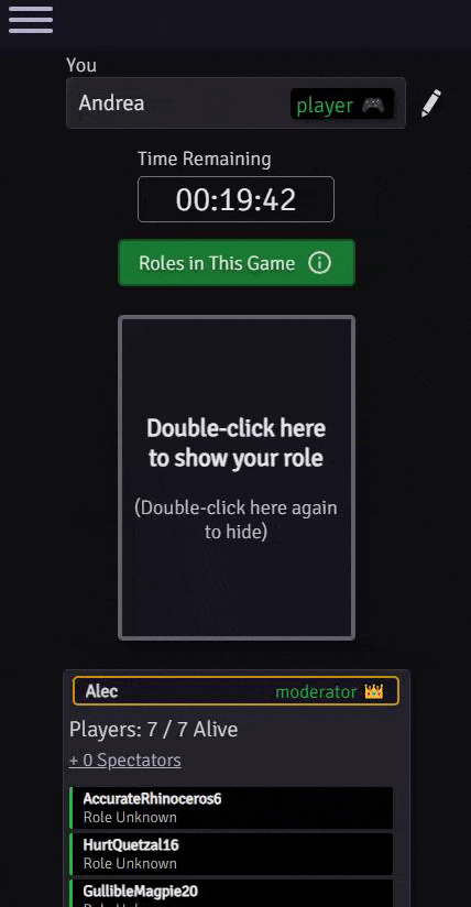 player-view